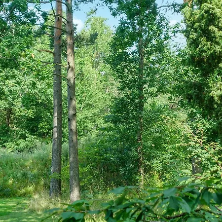 Amazing In With Wifi